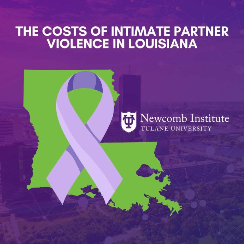 A graphic with the state of Louisiana and a purple ribbon with the text of "The Costs of Intimate Partner Violence in Louisiana"