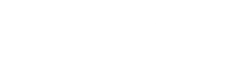 Violence Prevention Institute