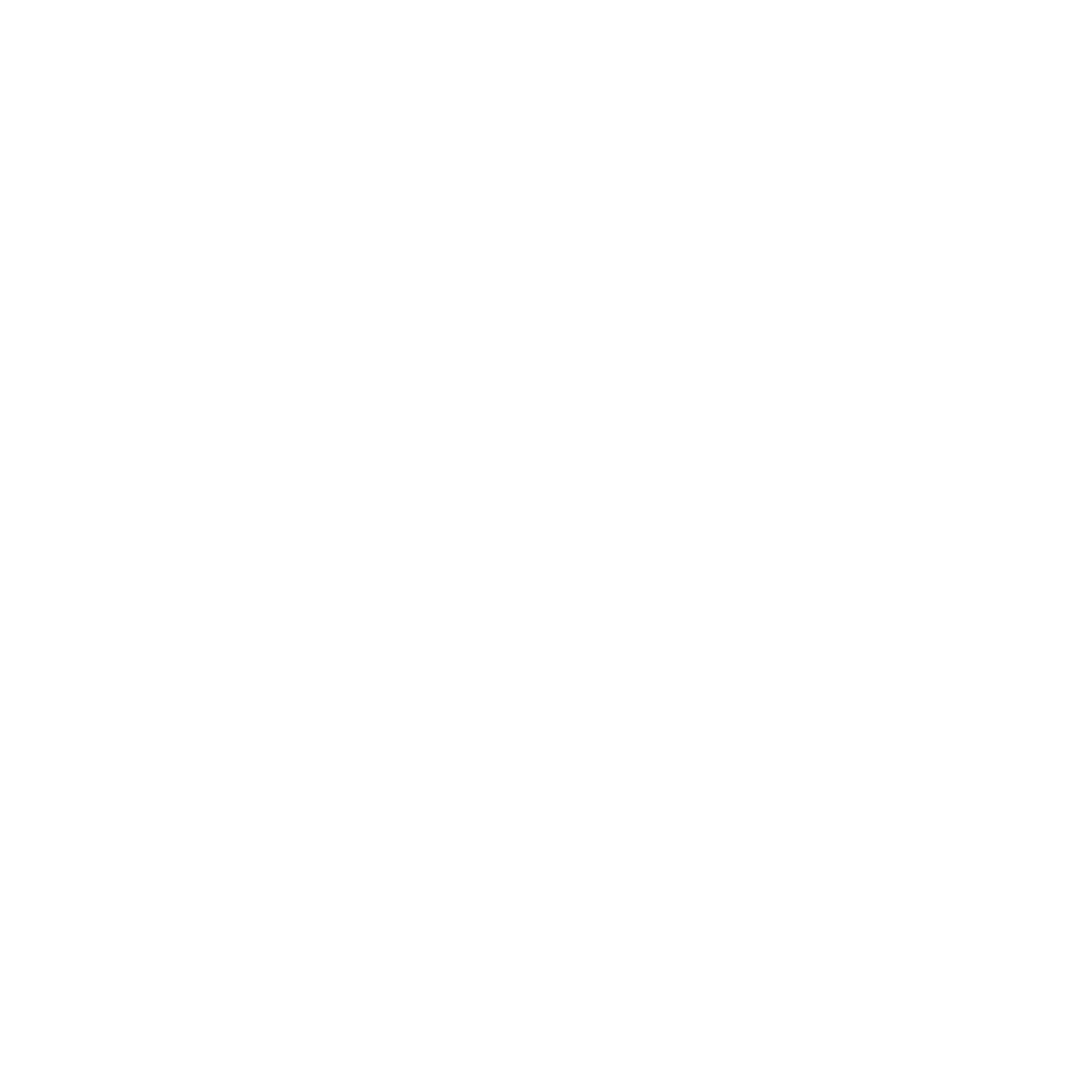 Violence Prevention Institute